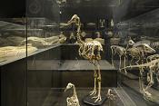 museum voor natuurwetenschappen brussel 11-2022 5632